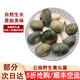 滇味十足（DIANWEISHIZU）青頭菌 云南新鮮野生菌菇 珍稀未開傘骨朵野生菌產(chǎn)地直發(fā) 【現(xiàn)貨】青頭菌凈重500克