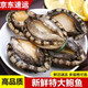 鮑魚(yú)鮮活新鮮冷凍特大海捕活凍鮑魚(yú)青島海鮮水產(chǎn)商用冷凍 4頭鮑魚(yú) 5斤