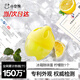 小倉熊冰箱除味劑除臭抑菌去味食品級活性炭吸附異味冰箱清潔蛋 檸檬*1