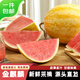 京鮮生奶香金珠蜜麟金麒麟西瓜 1粒裝 凈重5-7斤 新鮮水果 源頭直發(fā)包郵