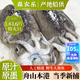 森農(nóng)樂大墨魚鮮活生鮮舟山墨魚仔冷凍冰鮮新鮮超大水產(chǎn)深海烏賊目魚整只 【2只精品嘗鮮】每只 250g(凈重)