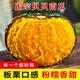 京鮮匠正宗山東貝貝南瓜 粉糯板栗味小南瓜 新鮮蔬菜源頭直發(fā) 凈 4.5斤 優(yōu)選裝(4-9個)