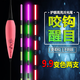 莉人漁具超亮咬鉤變色電子漂水無(wú)影浮漂日夜兩用夜光漂超醒目浮漂鯽鯉魚(yú)漂 超亮C-YB01【鉛1.5克】專(zhuān)攻鯽魚(yú) 【不變色一支】1顆電池