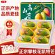 京地達(dá)攀枝花凱特芒果凈重8.8斤單果700g+芒果新鮮水果禮盒源頭直發(fā)包郵