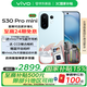 vivo S30 Pro mini 【國家補(bǔ)貼】 6.31 英寸多彩小直屏 6500mAh 小屏續(xù)航戰(zhàn)神新品AI手機(jī) 薄荷青 12GB+256GB vivo TWS4 耳機(jī)套餐