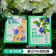 遠方的夢想 YUANFANG DREAM森驕野生藍莓原漿 富花青素藍莓汁飲品 50mL*10袋 【2盒兒童款】