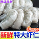 鯨口大開【新貨】新鮮大蝦仁活蝦現(xiàn)剝開背去蝦線冷凍白蝦仁海蝦仁海鮮 【8-10cm】特大蝦仁 3斤(凈重)