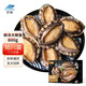 目無(wú)全牛鮮凍大鮑魚(yú) 鮑魚(yú)火鍋燒烤 貝類海鮮 生鮮 冷凍鮑魚(yú) 10-12頭/斤【1包】