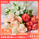 京東鮮花粉玫瑰+隨機色康乃馨六初30枝七夕禮物鮮切花組合鮮花產(chǎn)地倉直發(fā)