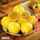 金百粟 百香果云南欽蜜9號(hào)黃金百香果新鮮水果當(dāng)季純甜百香果原漿 欽蜜9號(hào)凈重5斤 單果60-70g