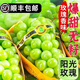 現(xiàn)貨陽(yáng)光玫瑰葡萄新鮮水果3斤無(wú)籽青提當(dāng)季整箱順豐包郵果園直發(fā) 凈重4.5斤2串丨禮盒裝 順豐包郵
