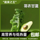 新鮮羽衣甘藍 蔬菜 當季嫩葉沙拉菜 冷鏈產(chǎn)地直發(fā) 北京當日達 精選1kg