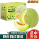 南步日本靜岡網(wǎng)紋蜜瓜【高端品種】冰淇淋玫瓏蜜瓜哈密甜瓜水果禮盒 4.5-5斤 甑選瓜【2枚】禮盒