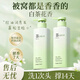 ALGN洗發(fā)水男女士控油蓬松去屑止癢洗頭膏洗發(fā)露持久留香72小時香體 【熱銷爆款】白茶洗發(fā)水750ml