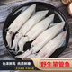筆管魚(yú)新鮮冷凍野生海捕筆管魚(yú)小魷魚(yú)小海兔子現捕新鮮海鮮水產(chǎn) 筆管魚(yú)【1斤裝】