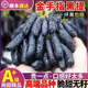 A佳順豐包郵藍(lán)寶石葡萄新鮮金手指葡萄無籽脆甜提子黑美人指當(dāng)季水果 精選1斤 順豐+泡沫箱+冰袋