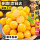 望之語正宗東北姑娘果 菇娘果 燈籠果 新鮮當(dāng)季水果甜菇?jīng)霈F(xiàn)摘順豐包郵 精選2斤裝（單果5-8g）