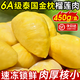 榴蓮肉冷凍無(wú)核榴蓮肉新鮮速凍商用榴蓮果肉進(jìn)口水果樹(shù)熟榴蓮 金枕頭榴蓮肉450g*2盒