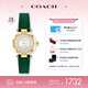 蔻馳（COACH）CARY系列 貝母表盤 石英女表14503894小綠表 七夕禮物/送禮