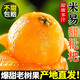 四川米易枇杷大果新鮮當(dāng)季現(xiàn)摘琵琶潤肺特級大五星批把整箱 2斤中果【34-44枚】 爆甜多汁