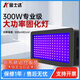金士達(dá)300W大功率uv固化燈led紫外線固化燈高光強(qiáng)UV膠水無影膠UV油墨綠油光油曬版秒干UV固化機(jī)/395nm