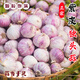 金百粟 云南紫皮獨頭蒜2025全干蒜大蒜紅皮干獨蒜當(dāng)季蔬菜辛辣味濃 紫皮干獨蒜 凈重4.5斤 大果3.0-3.5cm