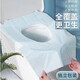 一次性馬桶墊全覆蓋坐便器墊套夏旅行產(chǎn)婦月子便攜廁所坐墊紙 20片裝