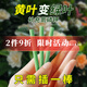 史丹利緩釋肥植物營(yíng)養(yǎng)棒花肥家用盆栽通用型養(yǎng)花復(fù)合花卉多肉肥料 【店長(zhǎng)推薦】緩釋棒18支/盒*2 史丹利榮譽(yù)出品