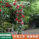 園之助攀爬架庭院鐵藝支架鋼管包塑花架桿植物支撐桿陽臺(tái)戶外架子 單圈黑 圈徑28cm - 高175cm