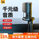 閃克（Sudotack） 麥克風(fēng)電腦麥筆記本USB電容麥網(wǎng)課教學(xué)游戲K歌直播錄音話筒會議桌面式啵啵麥 461T高品音質(zhì)+可調(diào)增益+即插即用