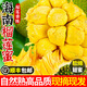 兮柔【順豐】海南榴蓮蜜 金錢蜜巴掌榴蓮蜜手撕濕苞菠蘿蜜熱帶水果 精選2-3個裝約6-7斤