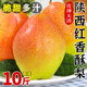 三萌果蔬陜西紅香酥梨當(dāng)季現(xiàn)摘正宗脆甜梨子酥梨香梨孕婦新鮮水果整箱禮盒 凈重4.5斤 頭茬果【單果100g+】