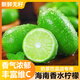 虔園海南香水檸檬 生鮮水果酸爽多汁奶茶店同款無籽青檸檬 帶箱1斤換購