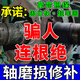 軸磨損修補劑碳納米聚合物材料金屬修復軸承位磨損高硬度耐高低溫 250g【金屬修補劑】強力修復