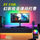 芮八氛圍燈帶電競(jìng)房拾音led燈條跑馬rgb幻彩電腦桌智能感應(yīng)背景墻燈 【2米USB幻彩款】音樂(lè)感應(yīng)APP+遙控