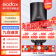 神牛（Godox） v1 閃光燈機頂外拍燈口袋燈便攜攝影高速TTL鋰電熱靴燈 圓燈頭v1閃光燈 適配索尼