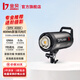 金貝（JINBEI）DPX400II影室閃光燈400W專業(yè)攝影燈影棚影樓工作室服裝人像寫真拍攝證件照補(bǔ)光燈服裝靜物補(bǔ)光燈 DPX-400II影室閃光燈 單燈頭（400W）