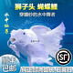 臺灣貴妃純種短身球體蝴蝶鯉魚墨碟火紅長尾觀賞魚冷水觀賞魚苗 5-7厘米3條極品石膏白球體蝴蝶鯉