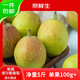 京鮮生 新疆庫(kù)爾勒香梨 凈重5斤 單果100g-120g 新鮮水果 源頭直發(fā)