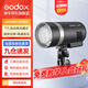 神牛（Godox） AD300PRO外拍閃光燈大功率戶外人像影棚攝影燈TTL高速測光鋰電補光燈 AD300pro 官方標(biāo)配