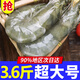 海之幫新鮮青島大蝦超大蝦凍蝦白蝦鮮活冷凍對蝦大號青蝦海鮮批發(fā) 15-17厘米活蝦速凍 3.6斤(凈重)