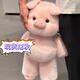 元?dú)庑『飼?huì)奔跑的小豬玩偶 十二生肖跑跑小香豬野豬玩偶毛絨玩具公仔禮物 小香豬呼呼 45cm尺寸