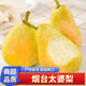 澤華果品煙臺太婆梨 山東梨子啤梨香蕉梨 當(dāng)季新鮮水果整箱 太婆梨4.5-5斤單果90g+