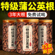 優(yōu)卓蒲公英根茶長白山天然野生中藥材炒熟特級(jí)蒲公英根去火官方店正品 1罐嘗鮮裝【運(yùn)費(fèi)貴不推薦】 250g/罐