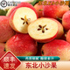 桃西村東北K9小沙果【順豐到家】遼寧小蘋果海棠果花紅果雞心果新鮮水果 3斤大果【單果40g+】實惠裝