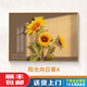 東庸堂現代向日葵餐廳裝飾畫(huà)太陽(yáng)花臥室床頭掛畫(huà)客廳背景墻壁畫(huà) 款式A【高清紋理】 40*30cm金框【鋁合金】