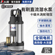 人民有刷直流潛水泵48v72v澆菜農用灌溉機電動(dòng)車(chē)電瓶車(chē)專(zhuān)用抽水泵 永磁直流 600W/48-60V/1寸7米線(xiàn)