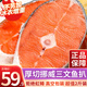 龍味福三文魚排 挪威輪切三文魚排新鮮大片三文魚扒 整條輪切魚排鮮凍 挪威三文魚排 中后段凈重 1000g