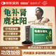 白云山 龜鹿補(bǔ)腎丸 4.5g/袋*20袋*3盒 補(bǔ)腎壯陽(yáng) 益氣血 壯筋骨 腰腿痠軟 性欲減退 小便夜多 健忘 失眠