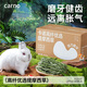 CARNO卡諾頭茬曬干提摩西草精選提草段兔草荷蘭豬龍貓牧草500g